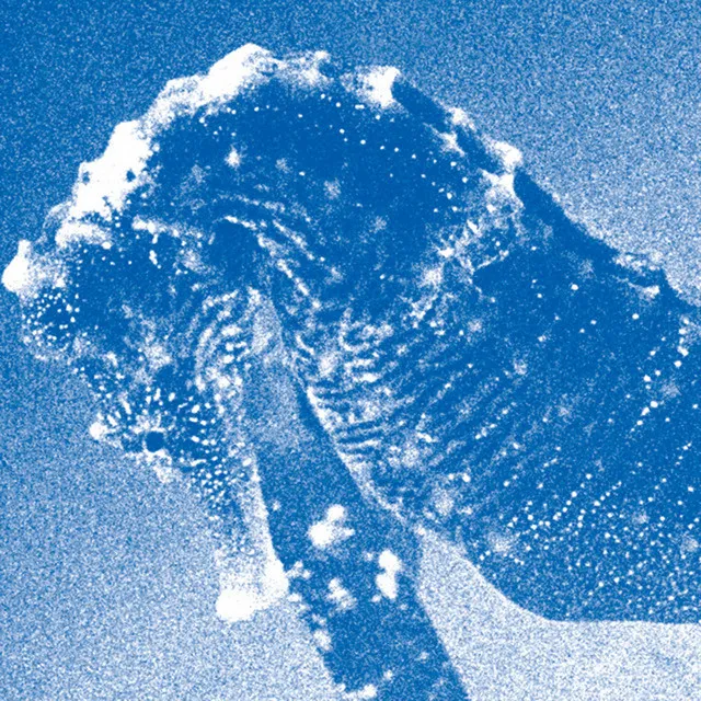 サイン入り青葉市子 『アダンの風 Windswept Adam 』サイン入りLP